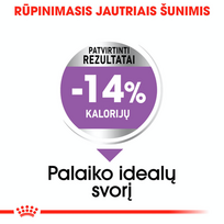 royal canin sterilised - ROYAL CANIN CCN Mini Sterilised, 8kg - 3 nuotrauka
