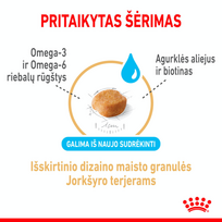 sausas maistas jorksyrams - ROYAL CANIN Yorkshire Terrier Adult 8+ 0,5 kg sausas maistas suaugusiems Jorkšyro terjerams, vyresniems nei 8 metai - 6 nuotrauka