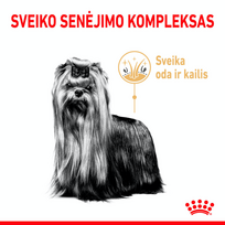 royal canin yorkshire terrier adult - ROYAL CANIN Yorkshire Terrier Adult 8+ 1,5 kg  sausas maistas suaugusiems Jorkšyro terjerams, vyresniems nei 8 metai - 5 nuotrauka