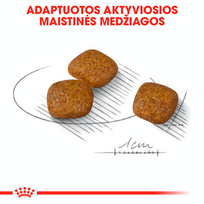royal canin urinary care - ROYAL CANIN Mini Urinary Care 8 kg - 5 nuotrauka