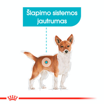 royal canin urinary care - ROYAL CANIN Mini Urinary Care 8 kg - 6 nuotrauka