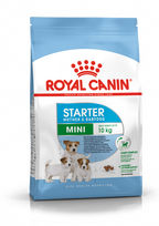starteris maistas - ROYAL CANIN Mini Starter Mother&Babydog 1kg - 1 nuotrauka