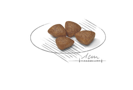 starteris maistas - ROYAL CANIN Mini Starter Mother&Babydog 1kg - 2 nuotrauka