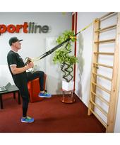 medines gimnastikos svediskos sieneles - Lakuota medinė gimnastikos švediška sienelė inSPORTline 190x65cm - 10 nuotrauka