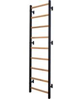 kopecios sienele - Gimnastikos sienelė BenchK 713B - 24 nuotrauka