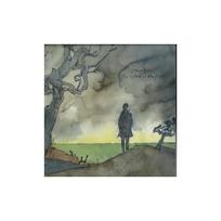 BLAKE JAMES: COLOUR IN ANYTHING 2LP