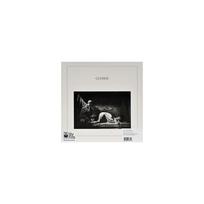 JOY DIVISION: CLOSER LP