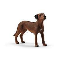Žaislinė figūrėlė Schleich Farm World Rhodesian Ridgeback 13895