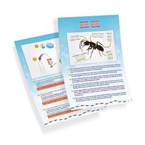 skruzdeles - Buki France Nature Ants Mini World - 6 nuotrauka
