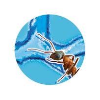 skruzdeles - Buki France Nature Ants Mini World - 7 nuotrauka