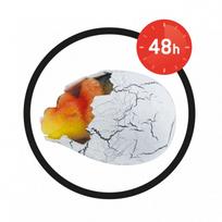 augantys zaisliukai - Kūrybos rinkinys Buki France Magic Egg - 3 nuotrauka