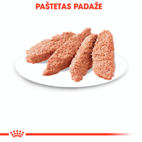 royal canin sterilised - Royal Canin Sterilised paštetas 12 X 85 g - 6 nuotrauka