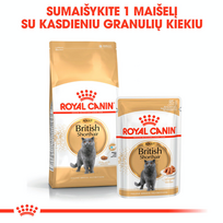 royal canin british - ROYAL CANIN British Shorthair Adult konservas, 12x85g (Padažas) - 4 nuotrauka