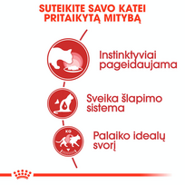 canin royal canin 7 - ROYAL CANIN Instinctive   7 konservas (Padažas), 12x85g  - 7 nuotrauka