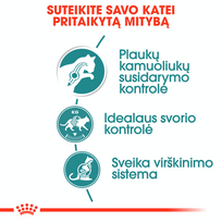 hairball - ROYAL CANIN Hairball Care padaže, 12x85g  - 4 nuotrauka