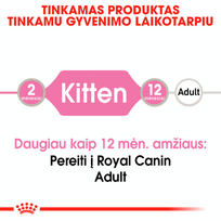 royal canin konservai katems - ROYAL CANIN Kitten konservas (Padažas), 12x85g  - 4 nuotrauka