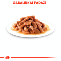 royal canin konservai katems - ROYAL CANIN Kitten konservas (Padažas), 12x85g  - 7 nuotrauka