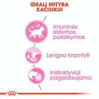 royal canin konservai katems - ROYAL CANIN Kitten konservas (Padažas), 12x85g  - 8 nuotrauka