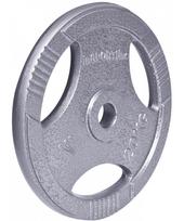 diskas 20kg - Plieninis svoris grifui 30mm inSPORTline Hamerton 20kg - 1 nuotrauka