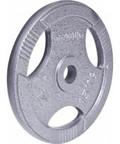 Plieninis svoris grifui 30mm inSPORTline Hamerton 15kg