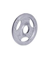 svorio diskai 30mm 5kg - Plieninis svoris grifui 30mm inSPORTline Hamerton 1.25kg - 1 nuotrauka
