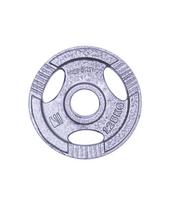 svorio diskai 30mm 5kg - Plieninis svoris grifui 30mm inSPORTline Hamerton 1.25kg - 2 nuotrauka