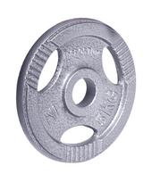 svorio diskai 30mm 5kg - Plieninis svoris grifui 30mm inSPORTline Hamerton 5kg - 1 nuotrauka