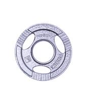 olimpinis grifas - Plieninis svoris olimpiniam grifui 50mm inSPORTline Hamerton 1.25kg - 1 nuotrauka