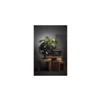 stalinis ventiliatorius - Mesko MS 7308 Black (Juodas) - 3 nuotrauka