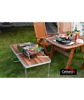 nesiojamas grilius - Kelioninis anglies grilis Cattara Double 2 x 38 cm - 8 nuotrauka