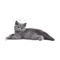 brito trumpaplaukis - Royal Canin Kitten British Shorthair 10 kg - 4 nuotrauka