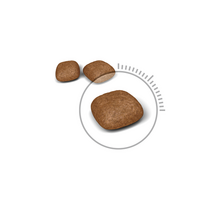 suaugusiesiems, - Royal Canin Urinary Care 4 kg - 1 nuotrauka