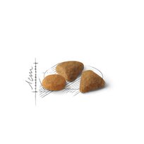 royal canin sausas maistas katems - Royal Canin Exigent Protein Preference 42 2 kg - 1 nuotrauka