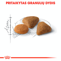 royal canin sausas maistas katems - Royal Canin Exigent Protein Preference 42 2 kg - 5 nuotrauka