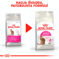 royal canin sausas maistas katems - Royal Canin Exigent Protein Preference 42 2 kg - 8 nuotrauka
