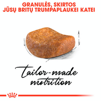 sausas kaciu maistas royal canin british shorthair adult - ROYAL CANIN British Shorthair Adult 400g - 5 nuotrauka