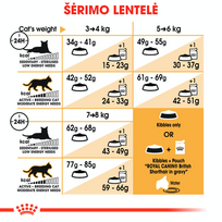 sausas kaciu maistas royal canin british shorthair adult - ROYAL CANIN British Shorthair Adult 400g - 7 nuotrauka