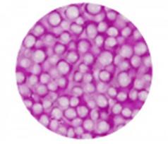 modelinas - Burbulinis modelinas - violetinė spalva 35 g - 1 nuotrauka
