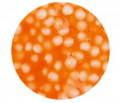 modelinas - Burbulinis modelinas - oranžinė spalva, 35 g - 3 nuotrauka