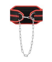 weight belt - Treniravimosi diržas  HMS PSTX05 - 16 nuotrauka