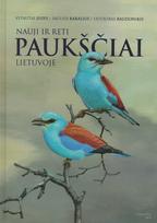 Nauji ir reti paukščiai Lietuvoje