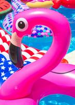 pripuciami ratai - Pripučiamas ratas, Flamingas MAX - 4 nuotrauka