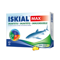 usuotis - Iskial Max kapsulės N120 - 2 nuotrauka