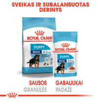 royal canin maxi puppy - ROYAL CANIN Maxi Puppy, 10x140 g - 4 nuotrauka