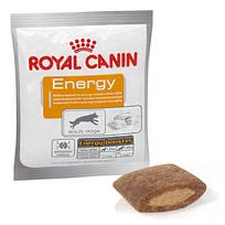 slapes - Royal Canin Energy 0.05 kg - 2 nuotrauka