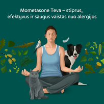 60d -  MOMETASONE TEVA 50 mikrogramų/dozėje nosies purškalas (suspensija), nosies purškalas, suspensija, N1 - 3 nuotrauka