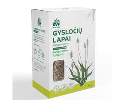 kvepavimo -  ŠVF žolelių arbata GYSLOČIŲ LAPAI, 50 g - 2 nuotrauka