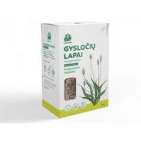 kvepavimo -  ŠVF žolelių arbata GYSLOČIŲ LAPAI, 50 g - 3 nuotrauka