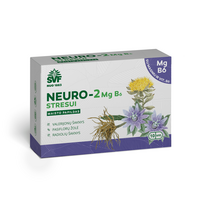 magniu kompleksas - ŠVF kietosios kapsulės NEURO-3 + MG B6, N10 - 1 nuotrauka