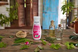 weleda kuno kremas - Weleda Wild Rose Harmonising 200ml Moterims Kūno losjonai - 2 nuotrauka